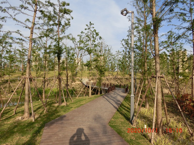 鹽龍?bào)w育公園木屋景觀燈